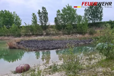 Starke Rauchentwicklung – Schilf in Schottergrube 1