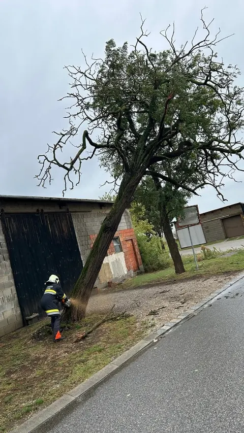 Sturm – Tag 2: Bäume beseitigt 5