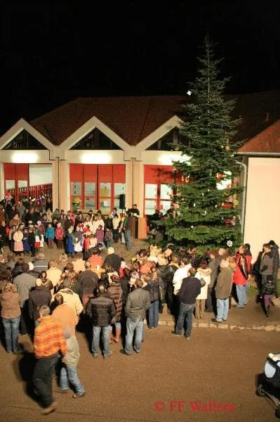 Christbaumstellen 2009 11