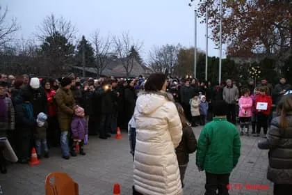 Christbaumstellen 2011 2