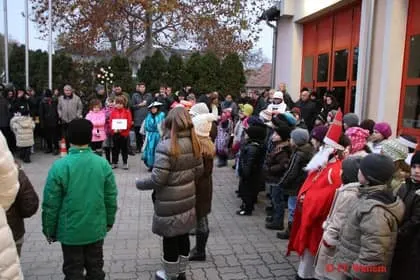 Christbaumstellen 2011 8