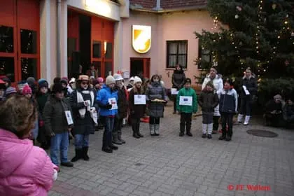 Christbaumstellen 2011 11