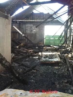 Brand eines Wirtschaftsgebäudes in Pamhagen 12