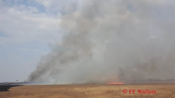 Brand 1