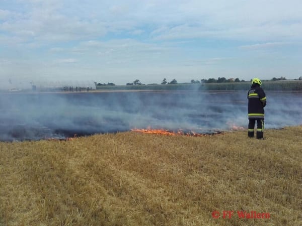 Flurbrand – Bild 2